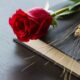 6 Verses About Grief To Include in Funeral Prayer Cards