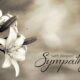 What To Write in Funeral Acknowledgment Cards