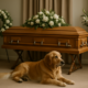 choosing a pet-friendly funeral home
