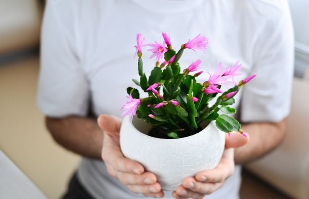 10 Thoughtful Sympathy Gifts That They’ll Appreciate